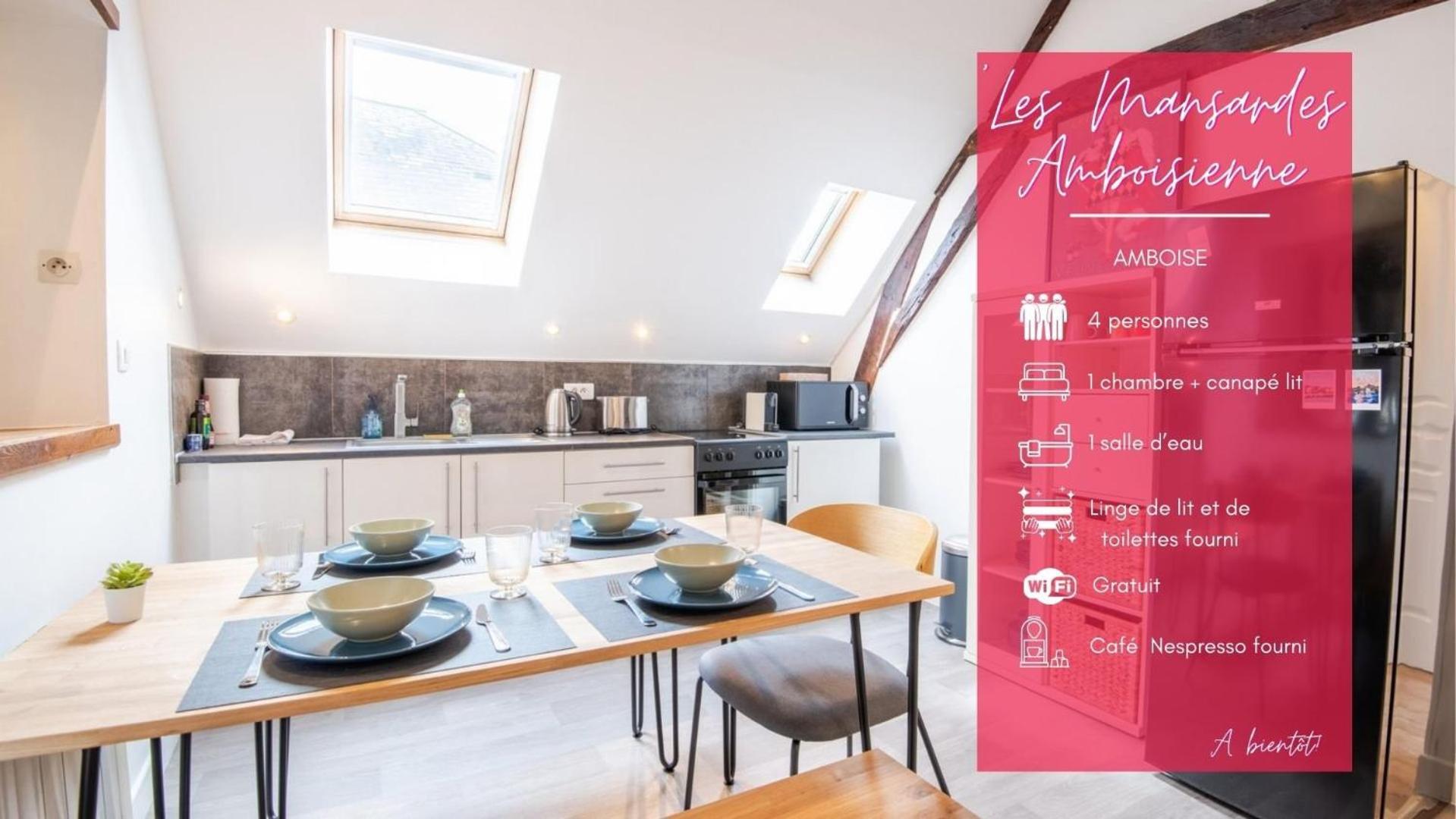 Apartament Les Mansardes Amboisiennes Amboise Zewnętrze zdjęcie